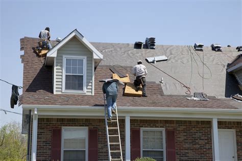 roof repair only options